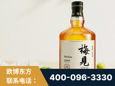铁岭-梅见青梅酒